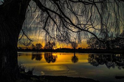 Silhouette trees by lake against sky during sunset