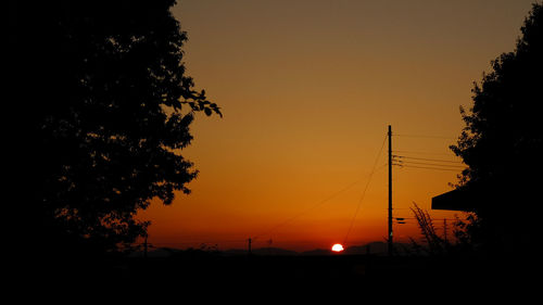 Silhouette of trees at sunset