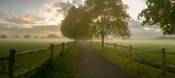 Scenic view of trees on field against sky