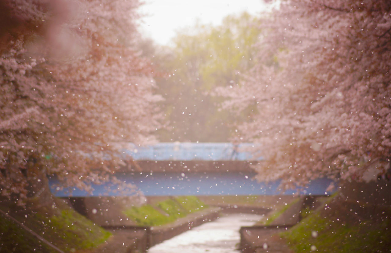 WET WINDOW IN RAIN