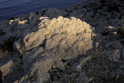 Close-up of rock on beach