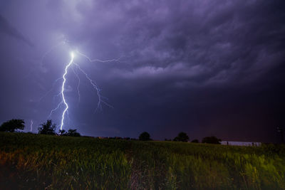 Scenic view of lightning over field