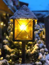 Close-up of illuminated yellow during winter