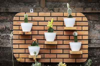 Potted plant hanging on wall