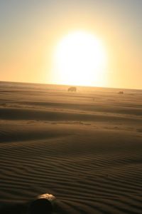 Sunset over desert