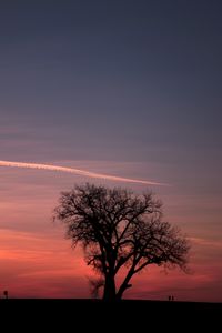 Silhouette tree on field against sky during sunset