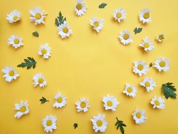 Full frame shot of yellow flowering plants