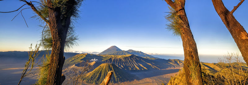 Panoramic view of trees and mountains against clear sky