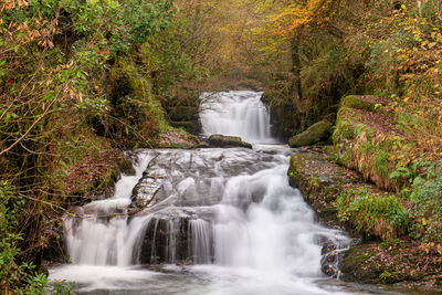 Waterfall in forest