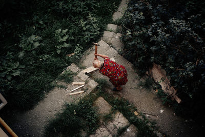 High angle view of red road amidst trees in forest