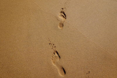 High angle view of footprints on sand