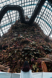 Rear view of woman standing by window