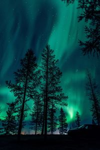 Low angle view of silhouette trees against sky at night