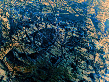 High angle view of snow on plants