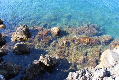 High angle view of rocks in sea