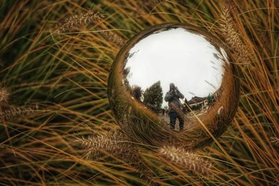High angle view of plants on field