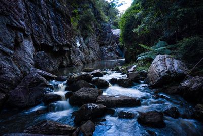 Stream flowing through rocks in forest