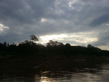 Scenic view of forest against sky
