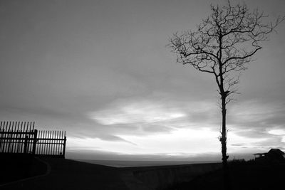 Silhouette bare tree on field against sky