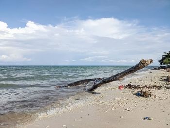 Scenic view of beach against sky