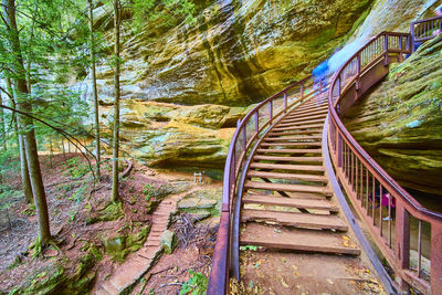 Railroad tracks in forest