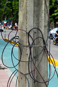 Close-up of bicycle on tree in city