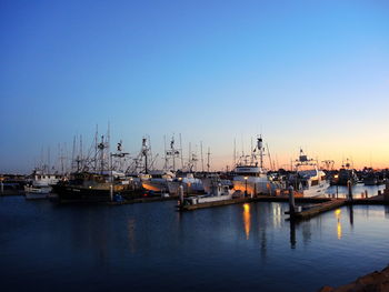 Sailboats in marina