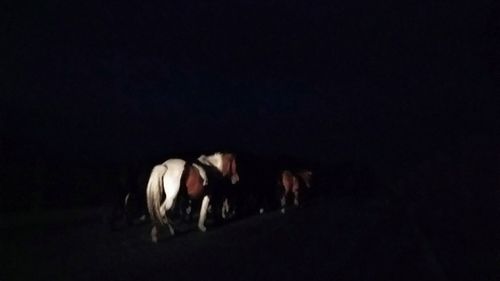 Group of people in the dark