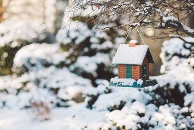 Close-up of snow covered birdhouse