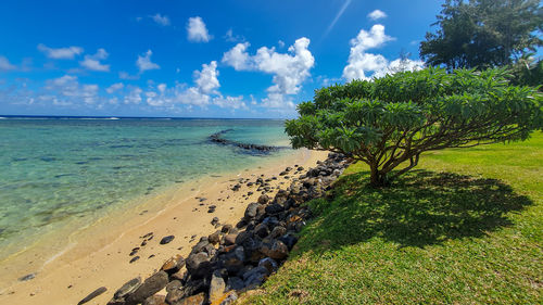 Scenic view of sea against sky