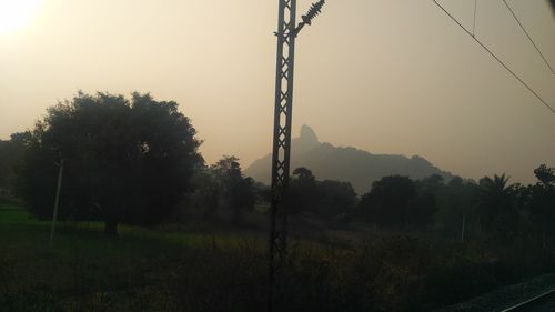 Trees on landscape against clear sky