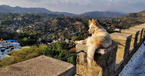 Panoramic shot of townscape against mountain range