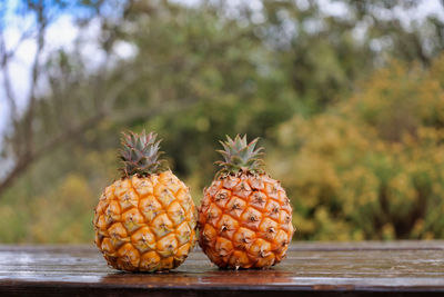 pineapple