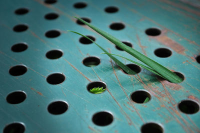 High angle view of grass from metal holes