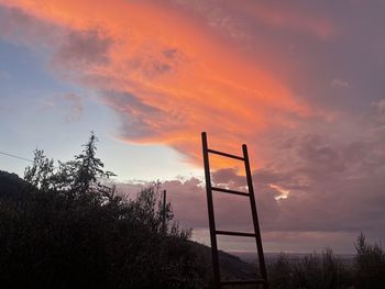 Low angle view of trees against sky during sunset