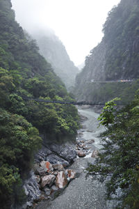 Stream flowing through rocks in forest