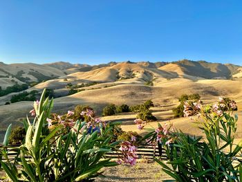 Scenic view of mountains against clear blue sky