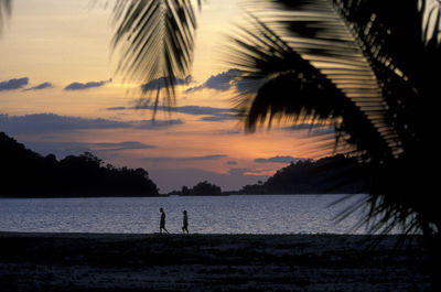 Silhouette palm trees on beach against sky during sunset