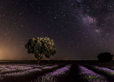 Scenic view of field against sky at night