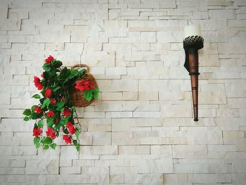 Red flowers against wall