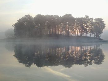 Reflection of trees in lake