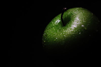 Close-up of wet apple against black background