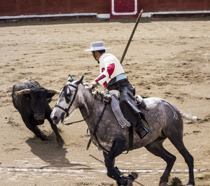 Man riding horse