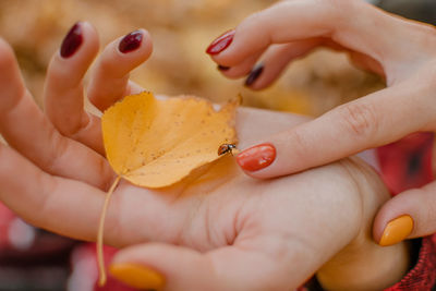 Indian summer, autumn mood. close up ladybug on a female hand