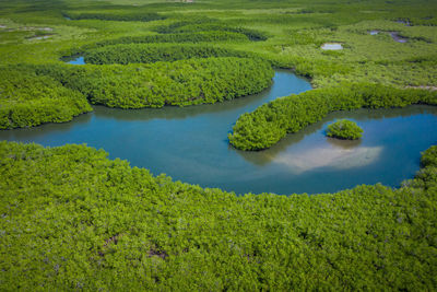 High angle view of lake