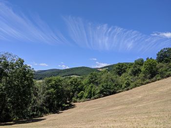Scenic view of road amidst trees against sky