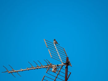 Low angle view of crane against clear blue sky