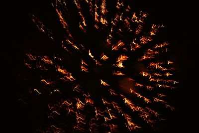 Low angle view of firework display