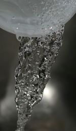 Close-up of water drops on spider web