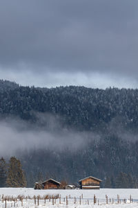 Scenic view of snow covered trees and houses against sky